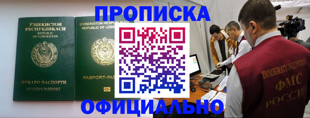 временная регистрация поиск в Камчатском крае